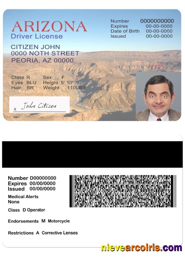 USA Arizona driving license version 2